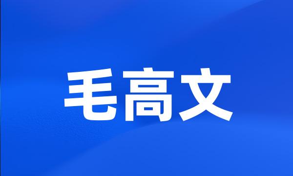 毛高文