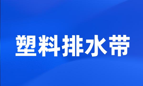 塑料排水带