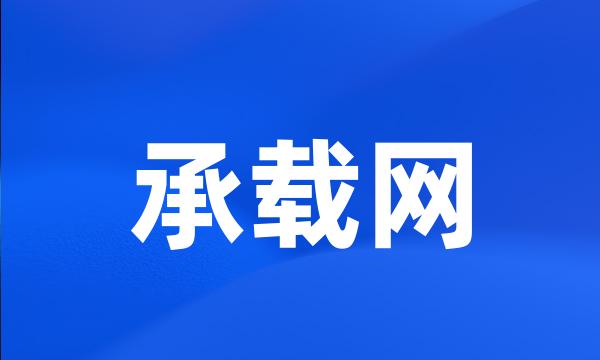 承载网