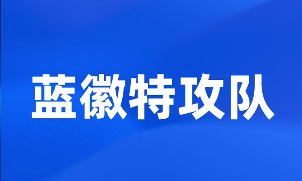 蓝徽特攻队