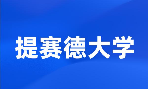 提赛德大学