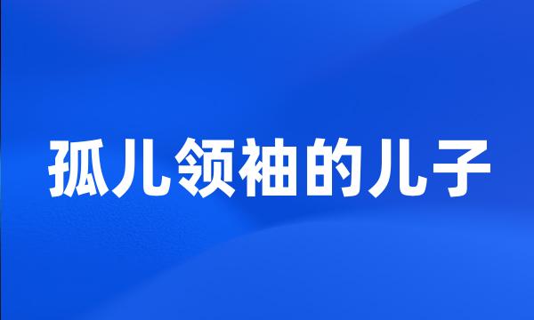 孤儿领袖的儿子