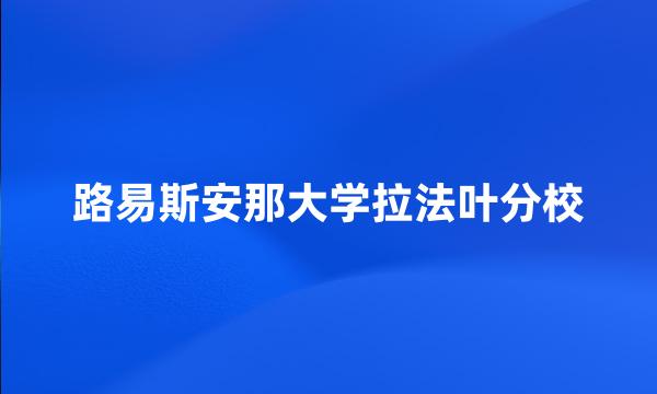 路易斯安那大学拉法叶分校