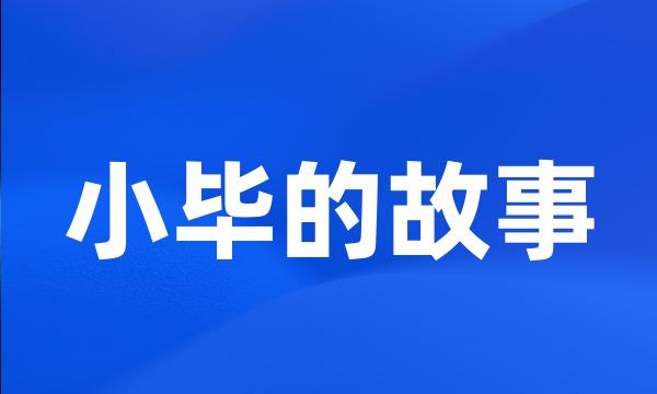 小毕的故事