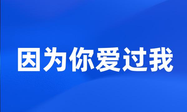 因为你爱过我