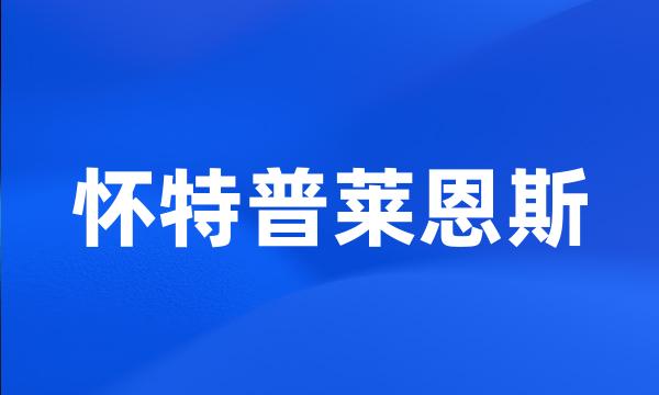 怀特普莱恩斯