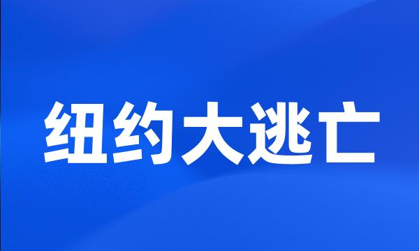 纽约大逃亡