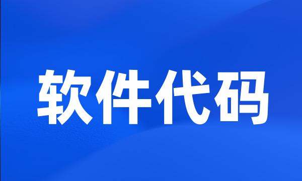 软件代码