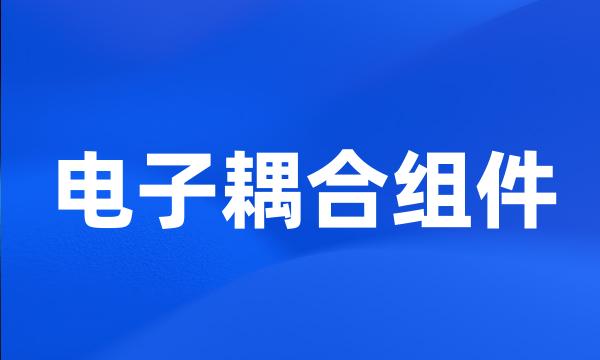 电子耦合组件