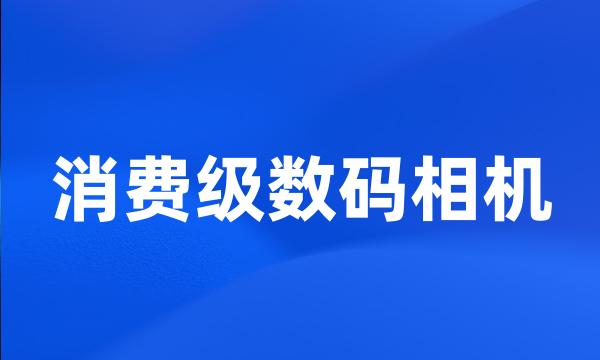 消费级数码相机