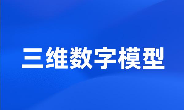 三维数字模型