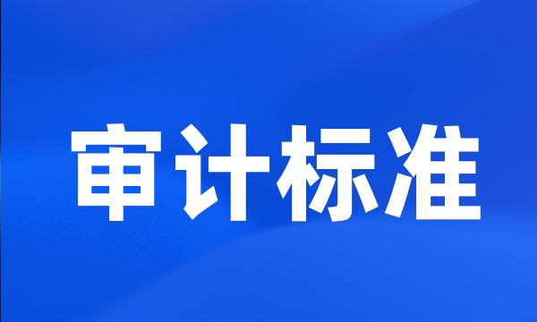 审计标准