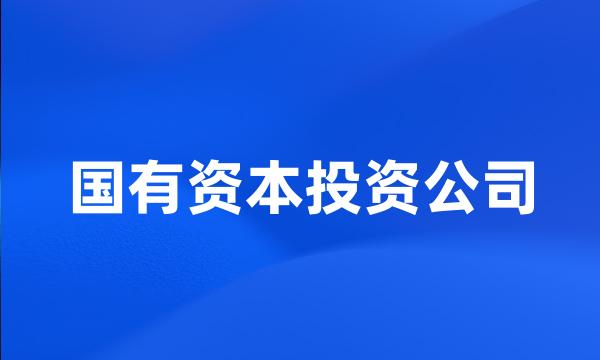 国有资本投资公司