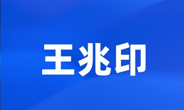 王兆印