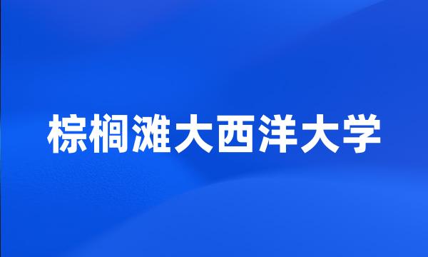 棕榈滩大西洋大学