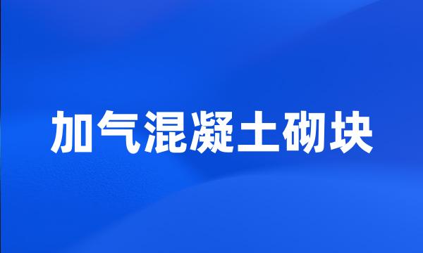 加气混凝土砌块