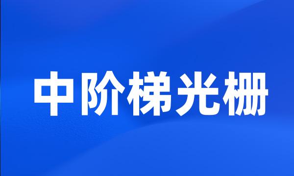 中阶梯光栅