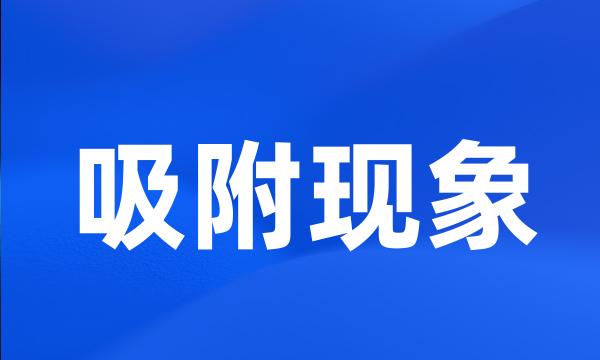 吸附现象