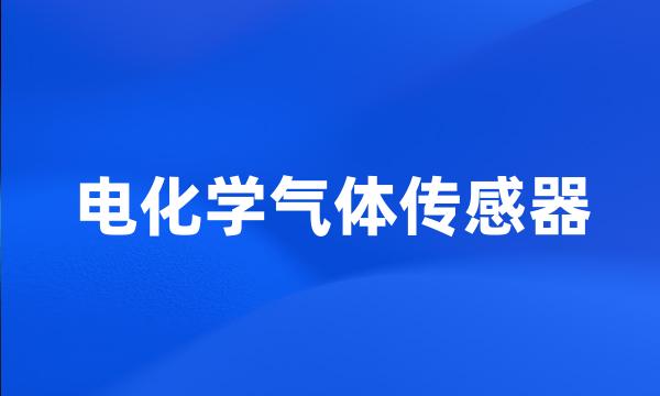 电化学气体传感器