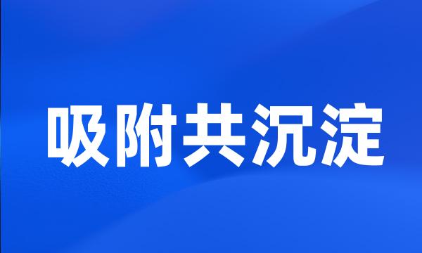 吸附共沉淀