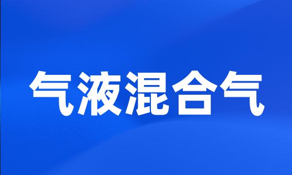 气液混合气