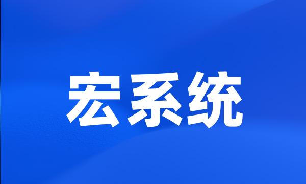 宏系统