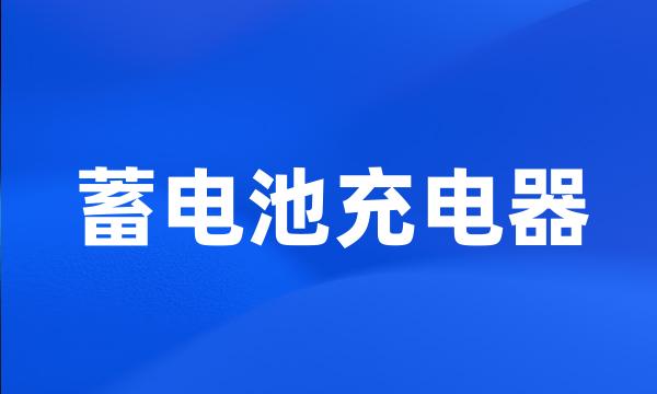 蓄电池充电器