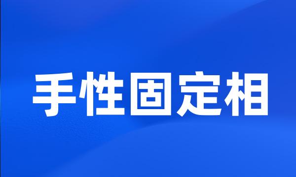 手性固定相