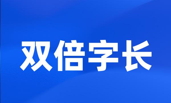 双倍字长