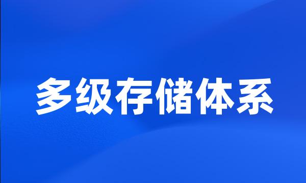 多级存储体系