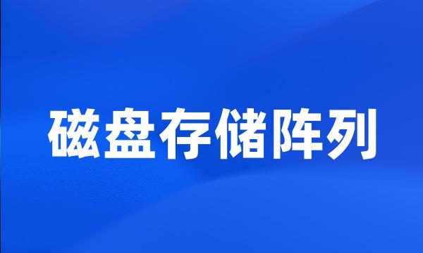 磁盘存储阵列