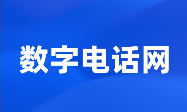 数字电话网