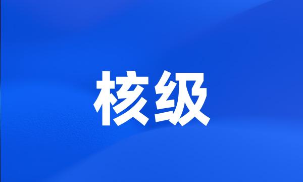 核级