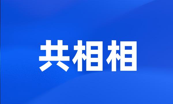 共相相