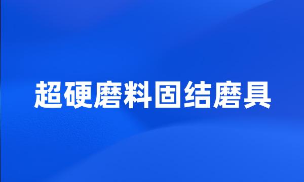 超硬磨料固结磨具