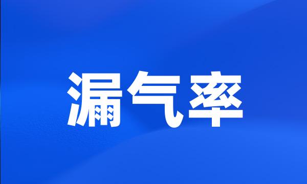 漏气率