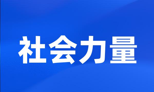 社会力量