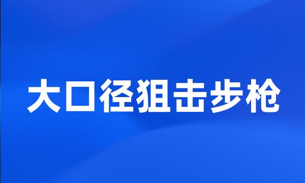 大口径狙击步枪