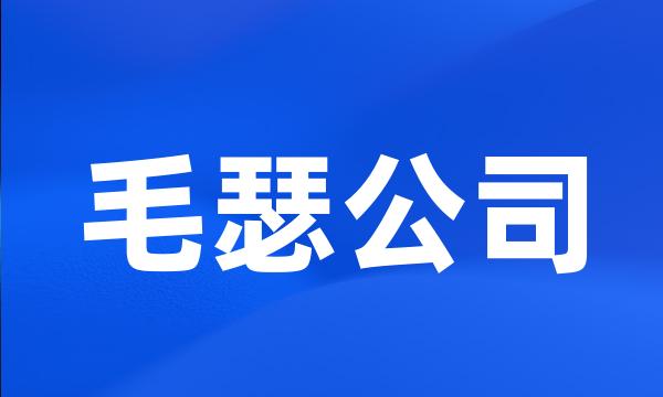 毛瑟公司