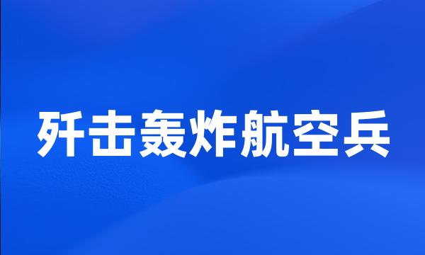 歼击轰炸航空兵