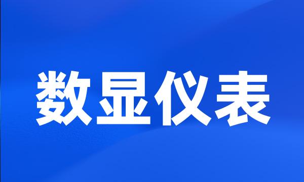 数显仪表