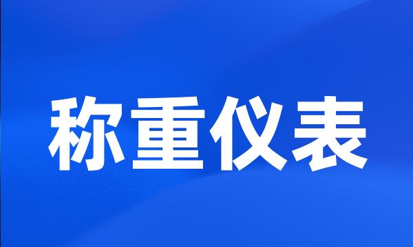 称重仪表