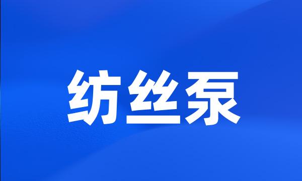 纺丝泵