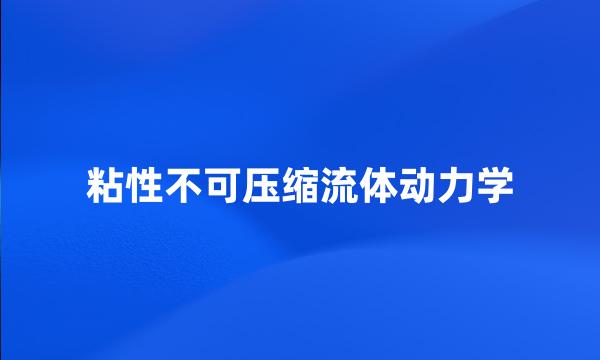 粘性不可压缩流体动力学