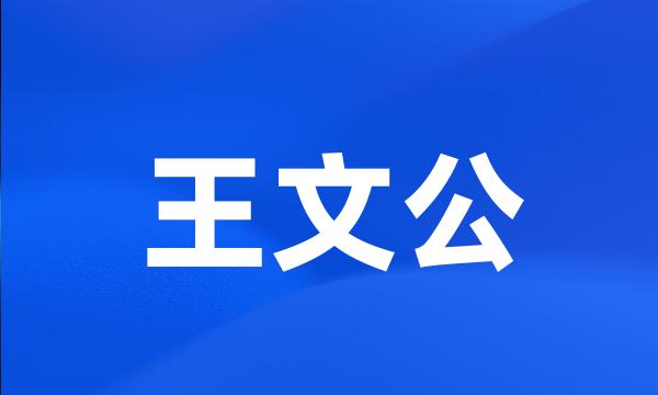 王文公