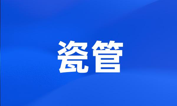 瓷管