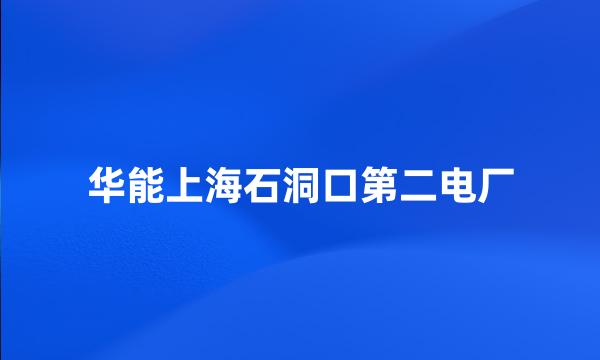 华能上海石洞口第二电厂