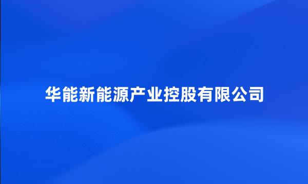 华能新能源产业控股有限公司