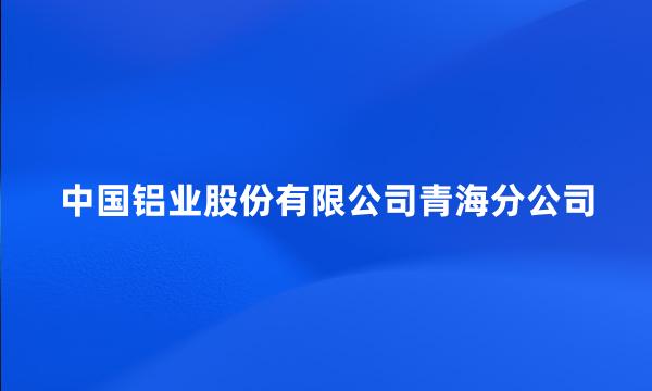 中国铝业股份有限公司青海分公司