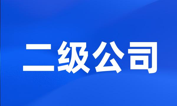 二级公司